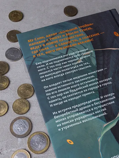 Медные монеты даруют миру покой. Том 1: роман - фото 9