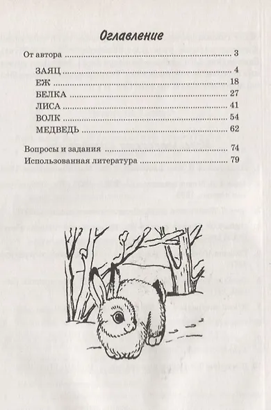 Какие звери в лесу? Книга для воспитателей, гувернеров и родителей - фото 2