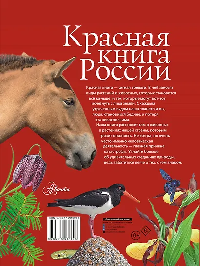 Красная книга России - фото 2