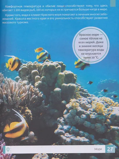 Подводный мир: энциклопедия - фото 5