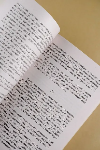 Бесплодные земли - фото 12