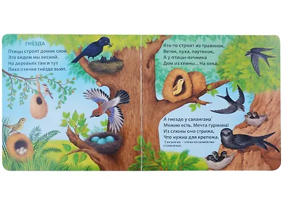 Удивительные дома животных. Книжки-картонки - фото 5