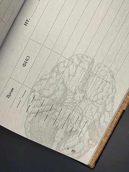 Лучшему врачу. Удобный планер - фото 15