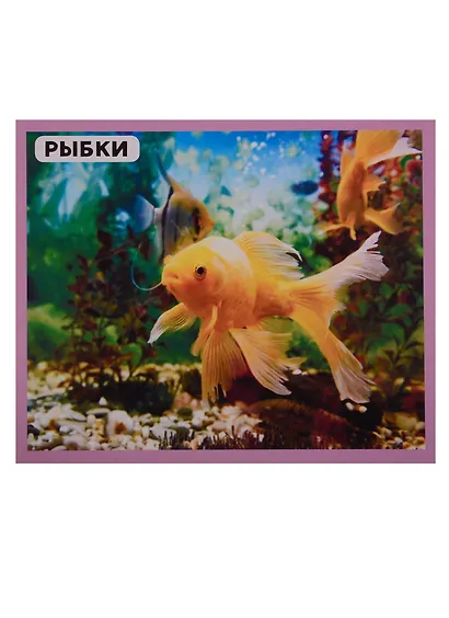 Домашние животные. 20 карточек - фото 4