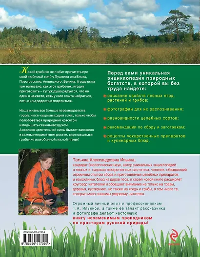 Лесные грибы, ягоды и травы - фото 2