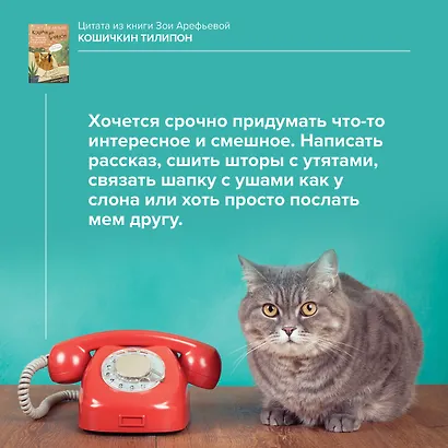 Кошичкин тилипон. Правдиви истори о котиках и их никчемни. Экспресс-помощь для тех, кто застрял в рутине и ищет вдохновение - фото 11