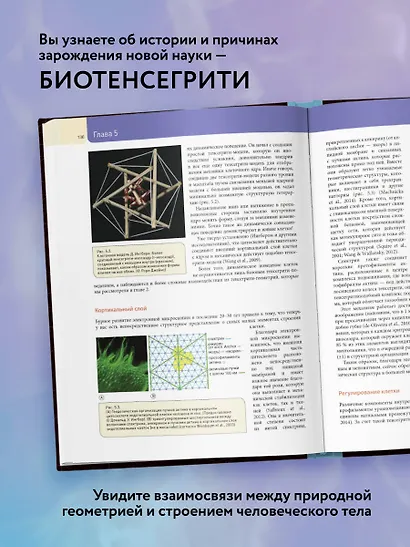 Биотенсегрити. Как работают Анатомические поезда, остеопатия и кинезиология и что может сделать эти техники максимально эффективными - фото 5