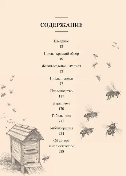 Пчелы. Что человек и пчела значат друг для друга - фото 2