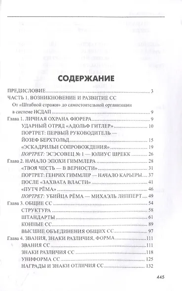Государство террора. СС в системе власти Третьего рейха - фото 2