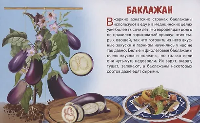 Овощи. Обучающие карточки - фото 3