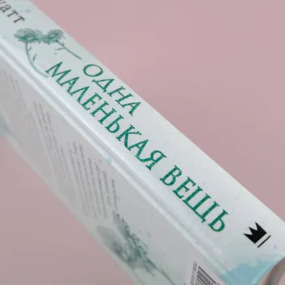 Одна маленькая вещь - фото 5