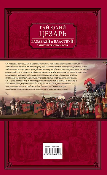 Разделяй и властвуй! Записки триумфатора - фото 2