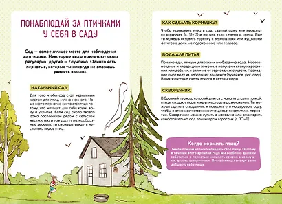 Птицы - фото 5