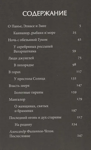 В Индии - фото 2