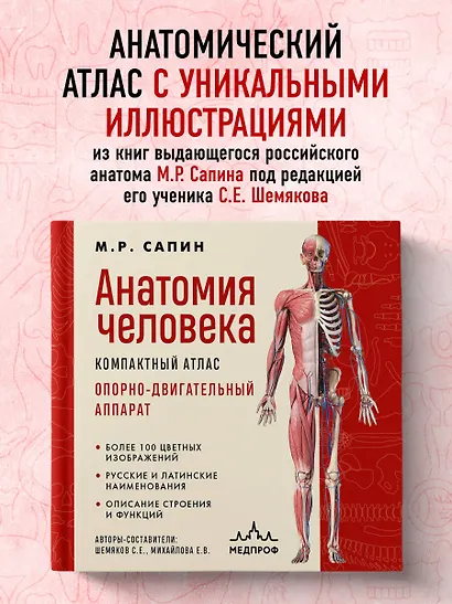 Анатомия человека. Компактный атлас. Опорно-двигательный аппарат - фото 4