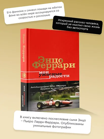 Мои ужасные радости. История моей жизни - фото 4