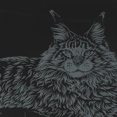 Гравюра большая с эффектом золота "Мейн-кун" - фото 3