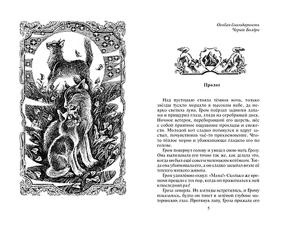 Юность Грома - фото 2