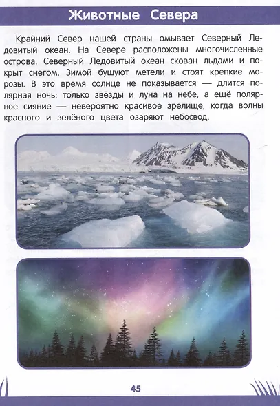 Энциклопедия дошкольника. 5-6 лет - фото 5