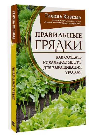 Правильные грядки. Как создать идеальное место для выращивания урожая - фото 3