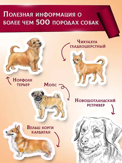 Породы собак Энциклопедия (первая обложка с борзой) - фото 5