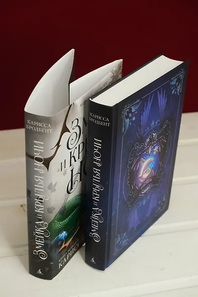 Короны Ниаксии. Змейка и крылья ночи. Книга первая из дилогии о ночерожденных - фото 14