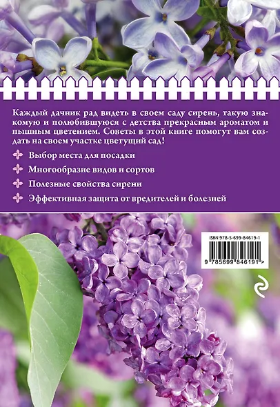 Сирень для прекрасного сада - фото 2