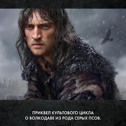 Братья. Книга 2. Царский витязь. Том 2 - фото 5