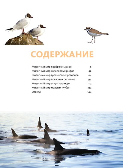 Животные морей и океанов. Большая школьная энциклопедия - фото 4