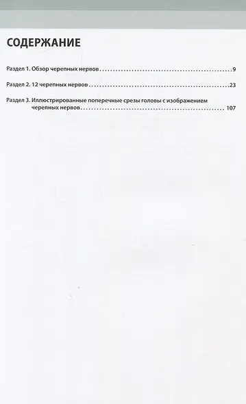 Черепные нервы - фото 2