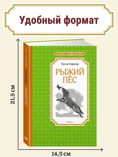 Рыжий пёс - фото 3