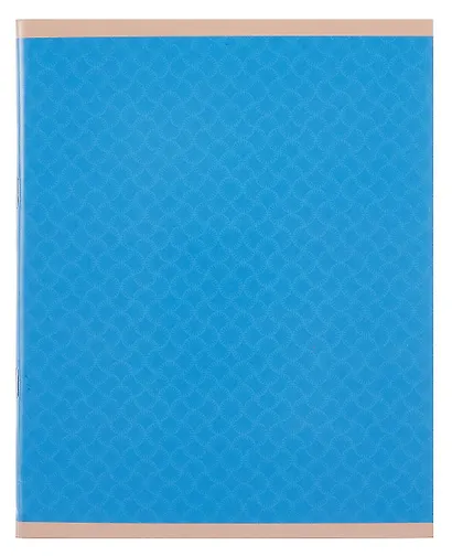 Тетрадь 80л кл. "Микс" скрепка, мелов.картон, поля, офсет, ассорти - фото 5