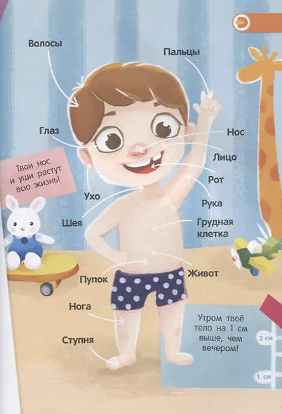 О чем стучит сердце? - фото 3