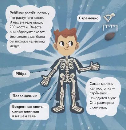 Ми-ми-мишки. Тело человека. Почему сердце стучит, живот бурчит, и как ты появился на свет? - фото 4