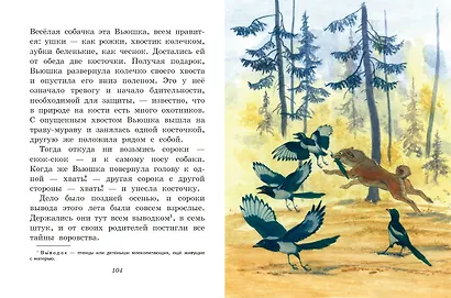 Лисичкин хлеб. Рассказы о животных (ил. С. Ярового) - фото 7