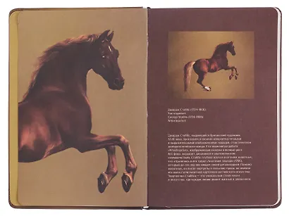 Книга для записей «ART. Стаббс Д. Уистлджекет» А5, 100 листов, нелинованная/в точку, Schiller - фото 5