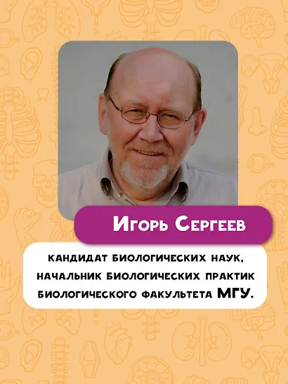 Тело человека - фото 8