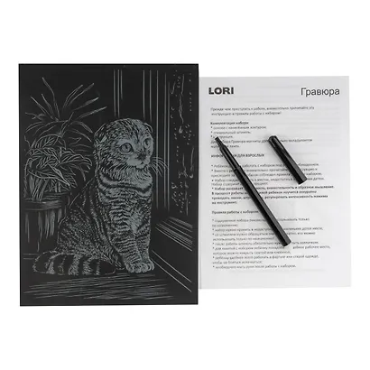 Набор для творчества. Гравюра большая с эффектом серебро "Шотландская вислоухая" - фото 2