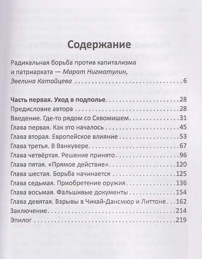 Прямое действие. Мемуары городской партизанки - фото 3
