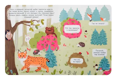 Кто в лесу живет. Книжка с окошками - фото 4