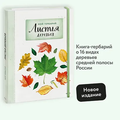 Мой гербарий. Листья деревьев(переупак) - фото 4