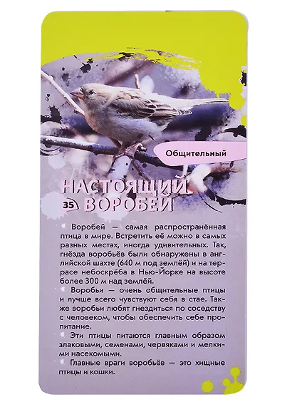 Животные. Викторина на карточках - фото 5