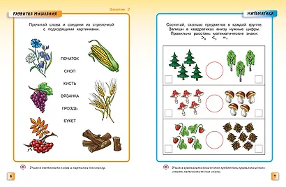 Грамотейка. Интеллектуальное развитие детей 5-6 лет - фото 9