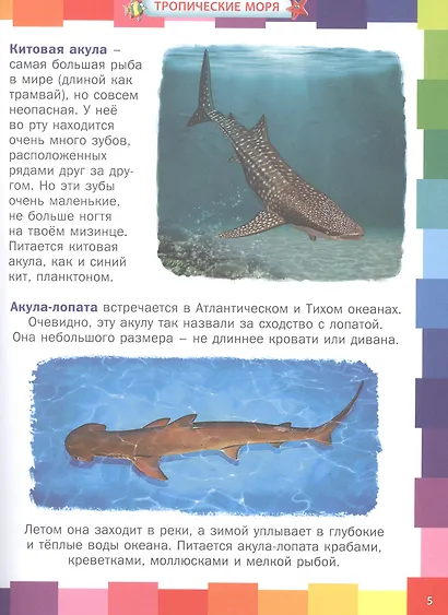 Удивительный подводный мир. Энциклопедия для малышей - фото 3