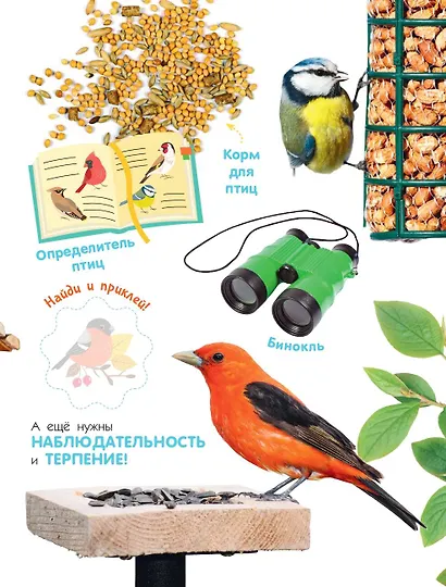 Птицы - фото 10