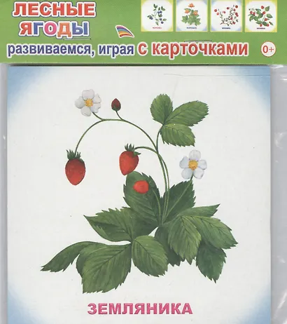 Обучающие карточки Лесные ягоды (упаковка) (978-5-91282-757-0) - фото 1