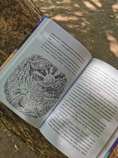 Книжный лес - фото 12