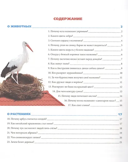 Удивительные факты обо всём на свете - фото 2