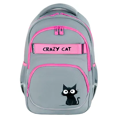 Рюкзак школьный для девочек "Crazy cat" 41*28*17см, 2 отделения, 3 кармана, с карманом для ноутбука, Brauberg - фото 10