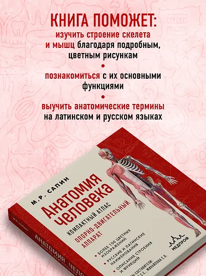 Анатомия человека. Компактный атлас. Опорно-двигательный аппарат - фото 6